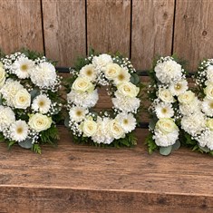 SON Tribute 