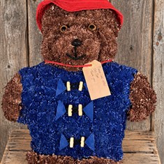 Paddington Bear 