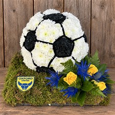 3d football