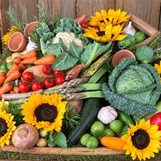 Gardeners Vegetable Tribute 