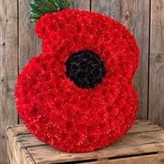 Remembrance Poppy Tribute